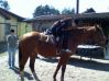 my love