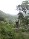 grasikonik