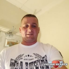 TTomek79 TTomek79