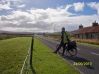 Orkney
