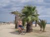 holiday