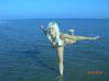 Paula25