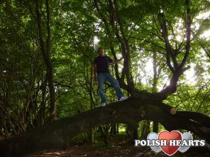 marcin8888