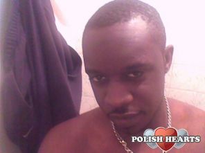 topdan2k9