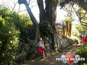 Botanic Garden, Wellington, New Zealand