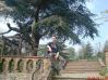 jacek121