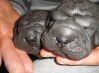 james and mary - sharpei\'s 