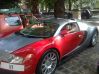 milo kierowac bugati