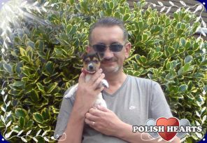angielski piesek polskiej rodzinie 30.06.11