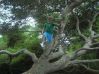Baobab hehe