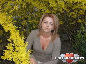 domi11