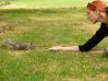 in greenwich park