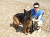 Brighton  2013