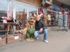 Tomek8829