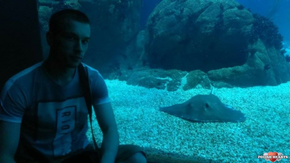 Serwis randkowy fish 4