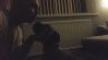 Pawel26l