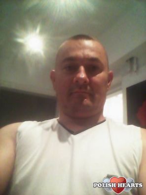 pingwin3
