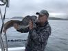 Monster z Norweskiej glebi 2018