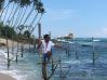 In Srilanka